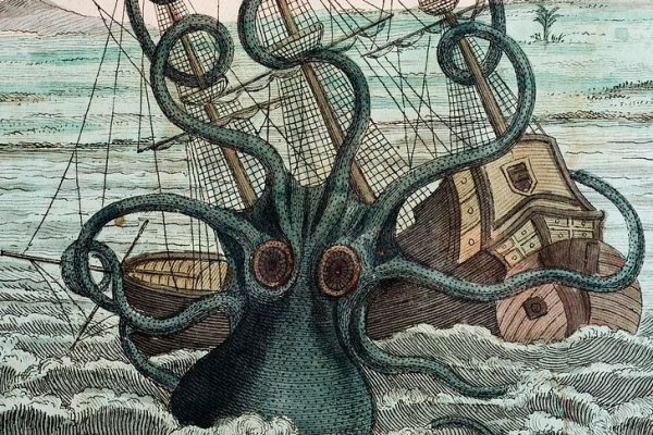 Kraken верификация