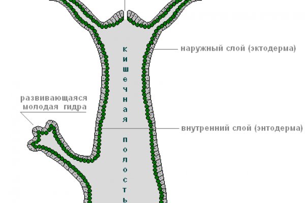 Официальный сайт даркнета