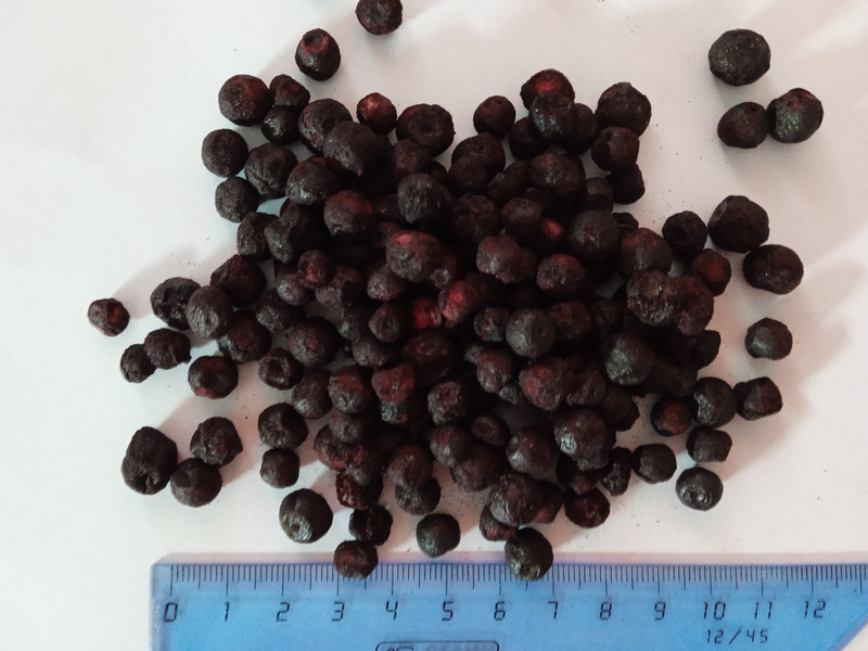 Фото 35 — Черника и ее благотворное воздействие