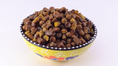 Photo of Корица для поддержания иммунитета