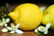 Photo of Лимон и его витаминный состав