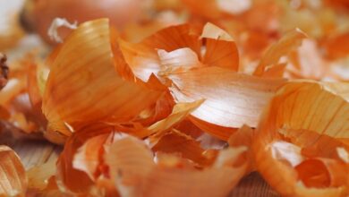Photo of Польза луковой шелухи для организма