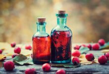 Photo of Масло шиповника для красоты кожи