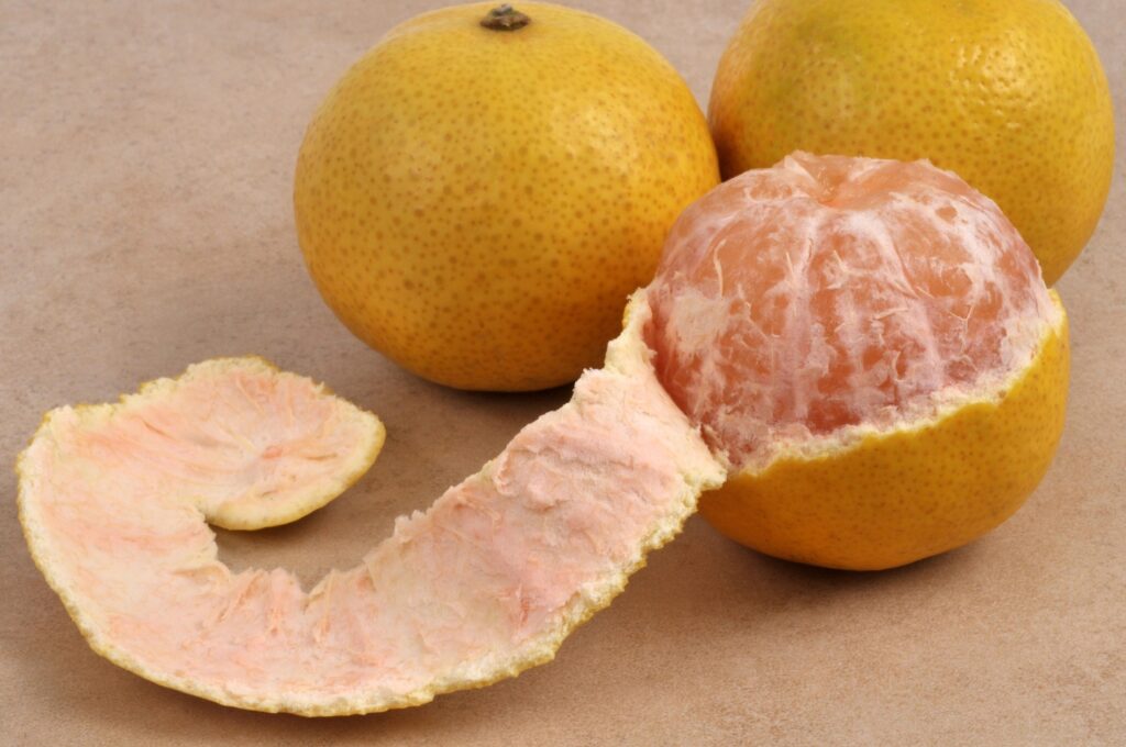 Фото 50 — Польза грейпфрута для организма