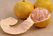 Photo of Польза грейпфрута для организма