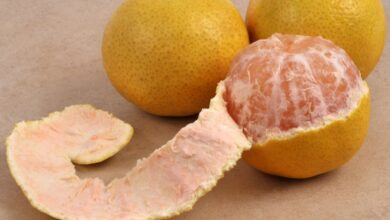 Photo of Польза грейпфрута для организма