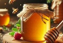 Photo of Мед и его антибактериальные свойства