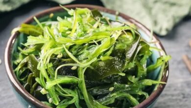 Photo of Морская капуста и ее польза