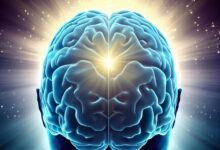 Photo of Орехи для здоровья мозга