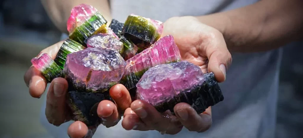 Фото 70 — Ягоды и их антиоксидантные свойства