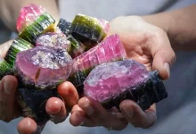 Photo of Ягоды и их антиоксидантные свойства