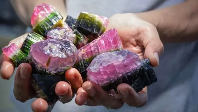 Photo of Ягоды и их антиоксидантные свойства