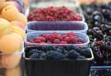 Photo of Какие ягоды полезны для зрения?