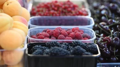 Photo of Какие ягоды полезны для зрения?