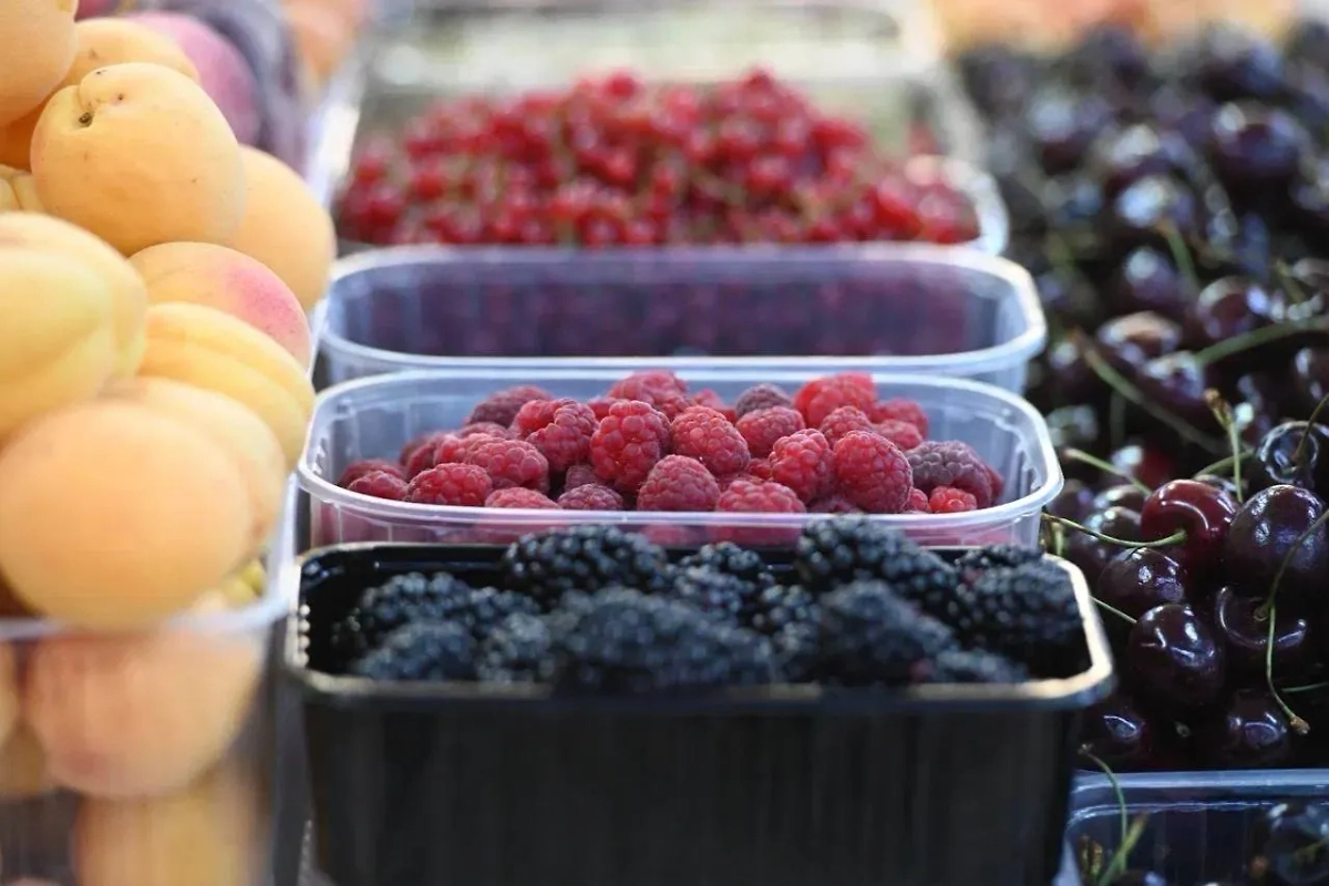 Фото 53 — Какие ягоды полезны для зрения?