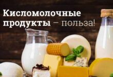 Photo of Польза кисломолочных продуктов для желудка