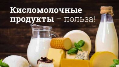 Photo of Польза кисломолочных продуктов для желудка