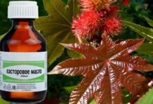 Photo of Масло касторовое для роста волос