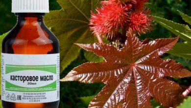 Photo of Масло касторовое для роста волос