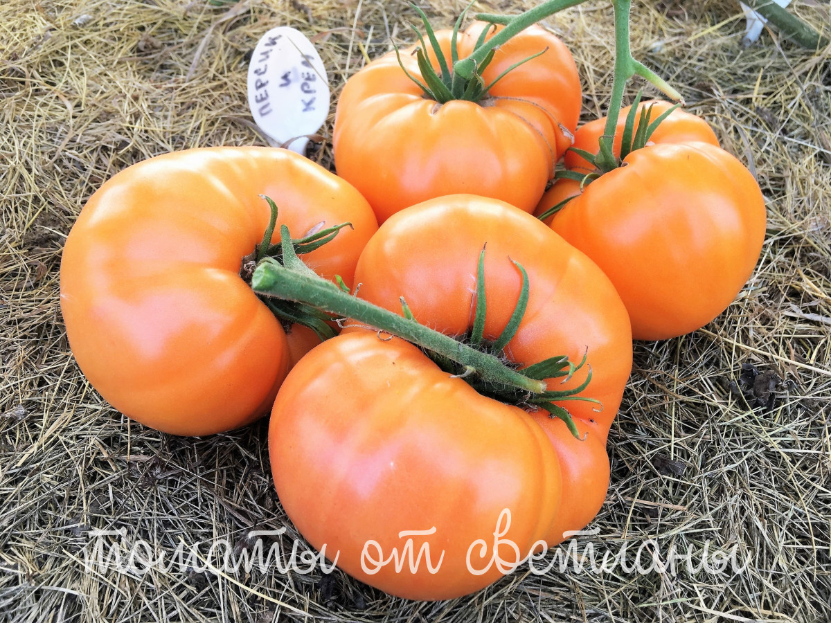 Фото 36 — Персик и его витаминный состав