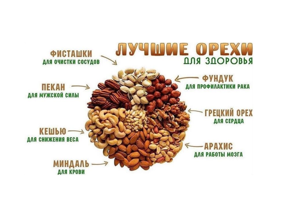 Фото 61 — Польза орехов для организма