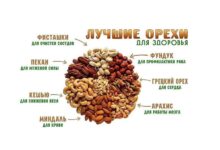 Photo of Польза орехов для организма