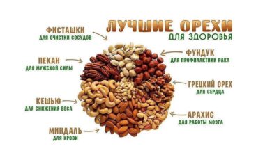 Photo of Польза орехов для организма