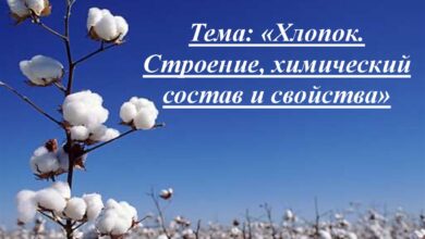 Photo of Лен и его полезные свойства