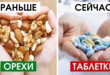 Photo of Какие орехи полезны для мозга?