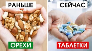 Photo of Какие орехи полезны для мозга?