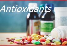Photo of Какие ягоды богаты антиоксидантами?